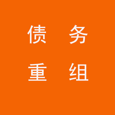 湖滨个人债务重组优化